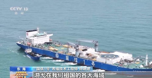 逐夢空天 深耕海洋 山東這兩艘“船”超乎你的想象——海空自貿(mào)海外倉的智慧融合